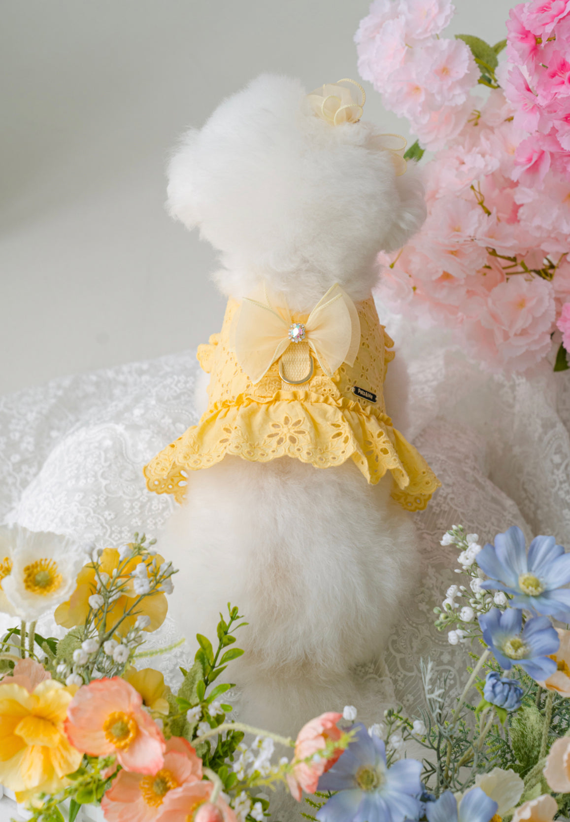 Pets&Me Lace Suit-New Arrivals[韩国Pets&Me新款蕾丝套装/胸背+牵引绳+胸花(多色可选)] image 12