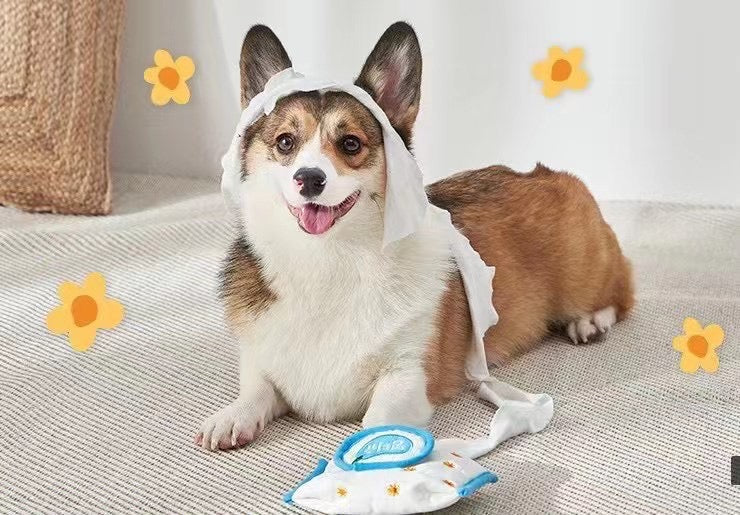 Special Pet Teasing Toys-Wet Wipe Style[韩国自嗨解压玩具系列-湿巾抽] image 1