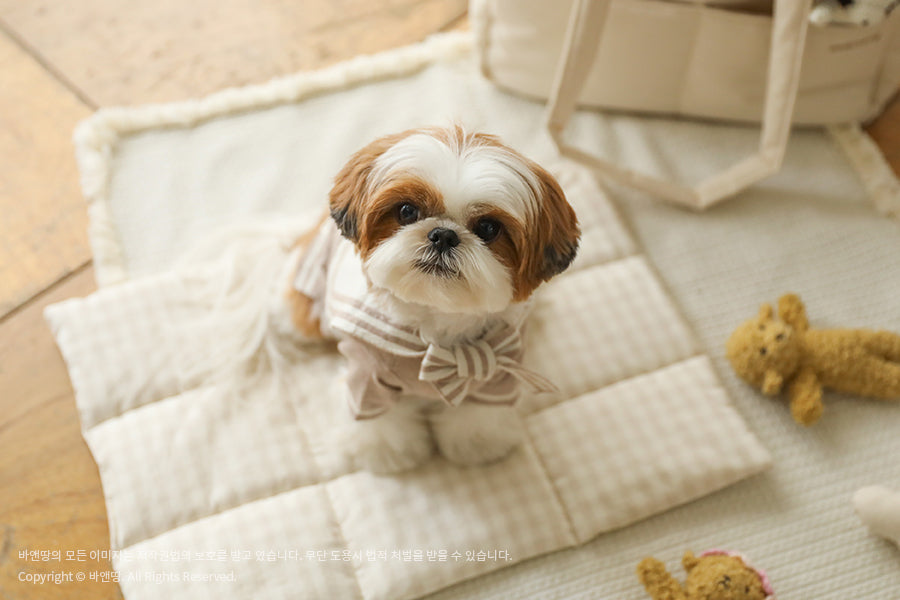 Ba&ttang-Marine Sailor Knit Pullover:mocha[Ba&ttang-水手服小毛衣:摩卡色] image 1