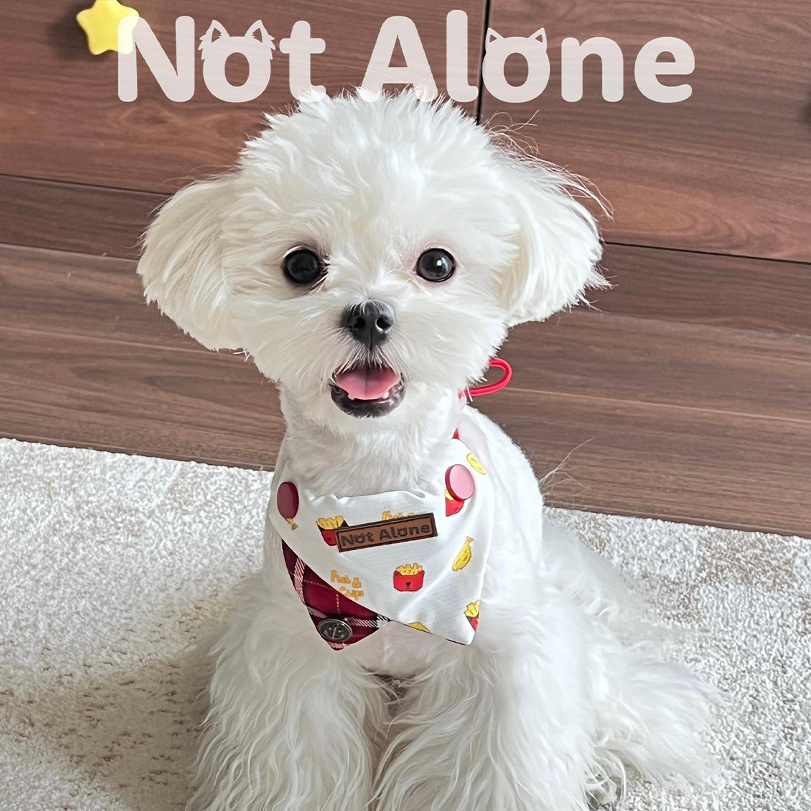 NotAlone-Fish&Chips Pet Bib[不孤岛-炸鱼薯条口水巾] image 4