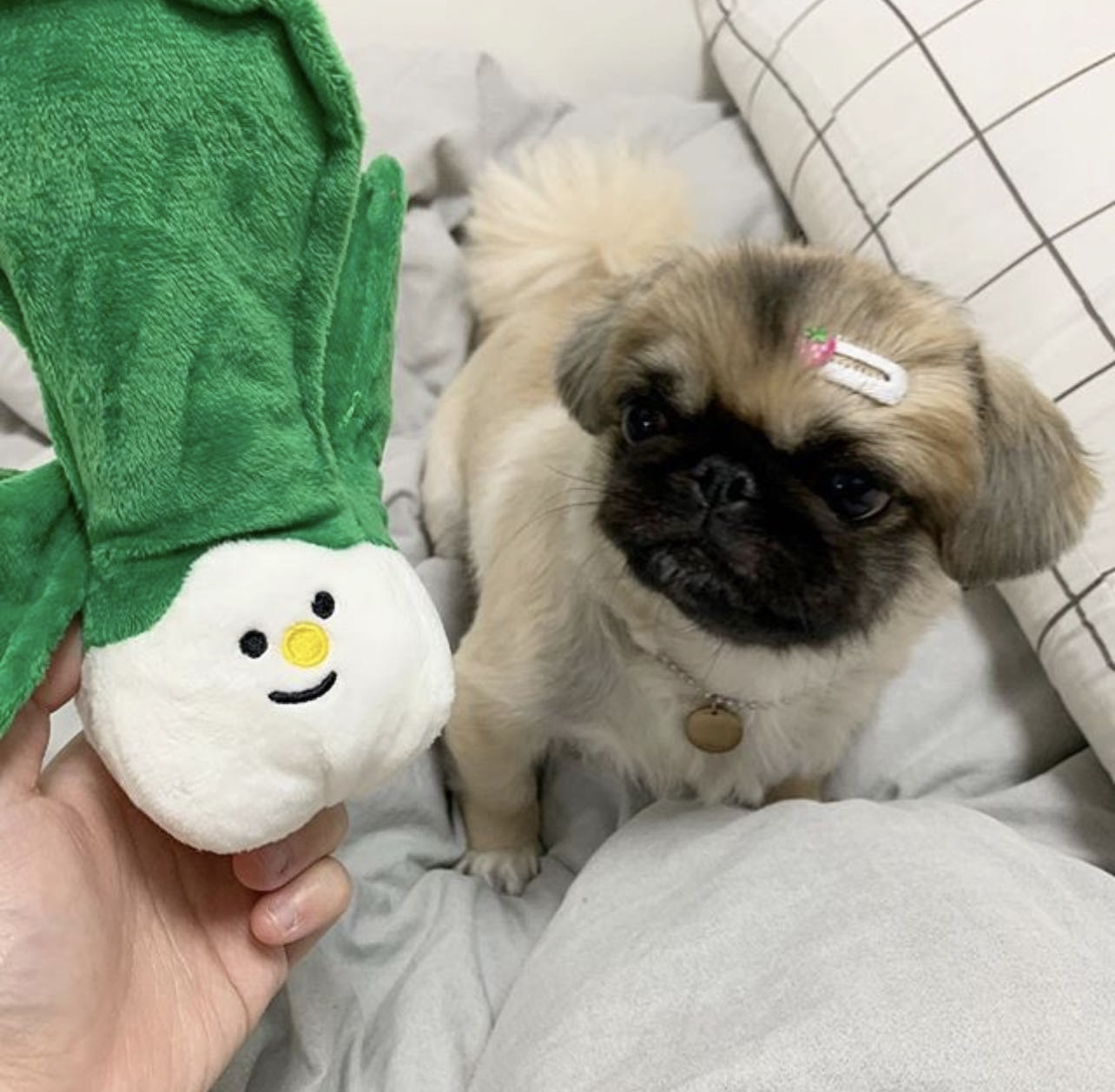 BiteMe-Vegetable Series Toy[BiteMe-蔬菜系列玩具] image 2