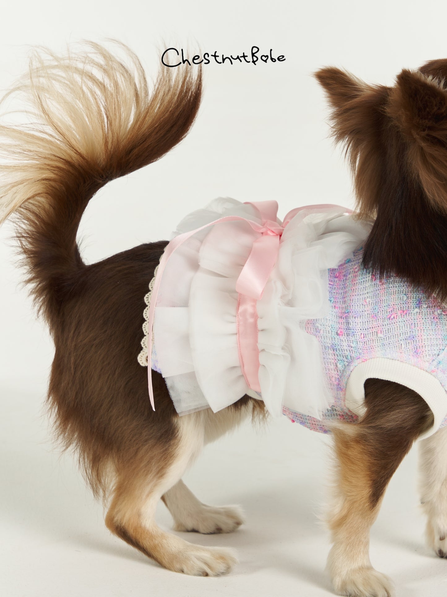 Chestnutbabe=Ballet Dress[Chestnutbabe-芭蕾舞裙] image 6