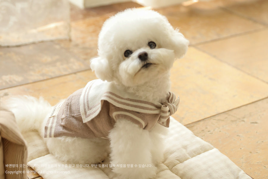 Ba&ttang-Marine Sailor Knit Pullover:mocha[Ba&ttang-水手服小毛衣:摩卡色] image 7