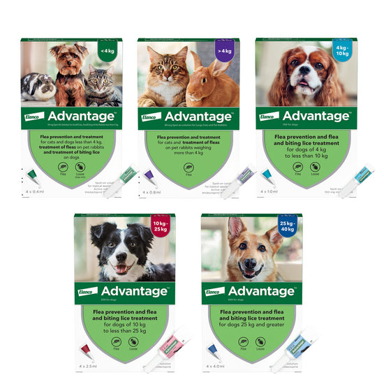 Advantage™ Spot-On Flea Treatment[Advantage体外驱虫药-跳蚤] image 7