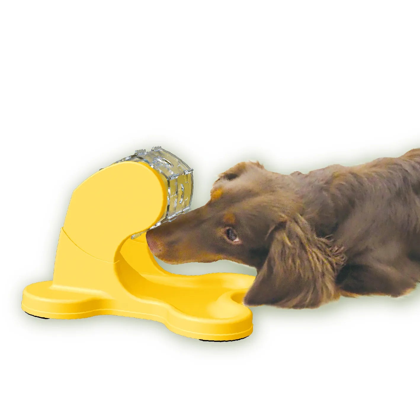 Doggyman-Dog Fortune Wheel For Interactive Feeding Game[Doggyman-狗狗互动喂食器] image 3