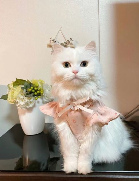 Pets&Me Floral Shirt-3types[韩国Pets&Me春日碎花系列-3款可选] image 2