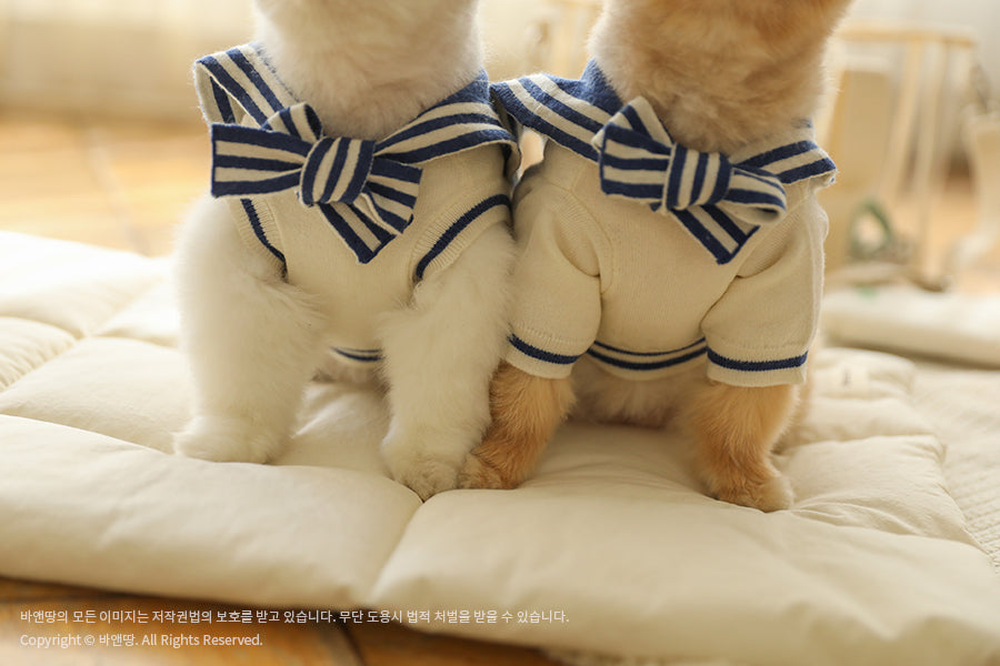 Ba&ttang-Marine Sailor Knit Pullover: ivory/blue[Ba&ttang-水手服小毛衣:蓝色] image 2