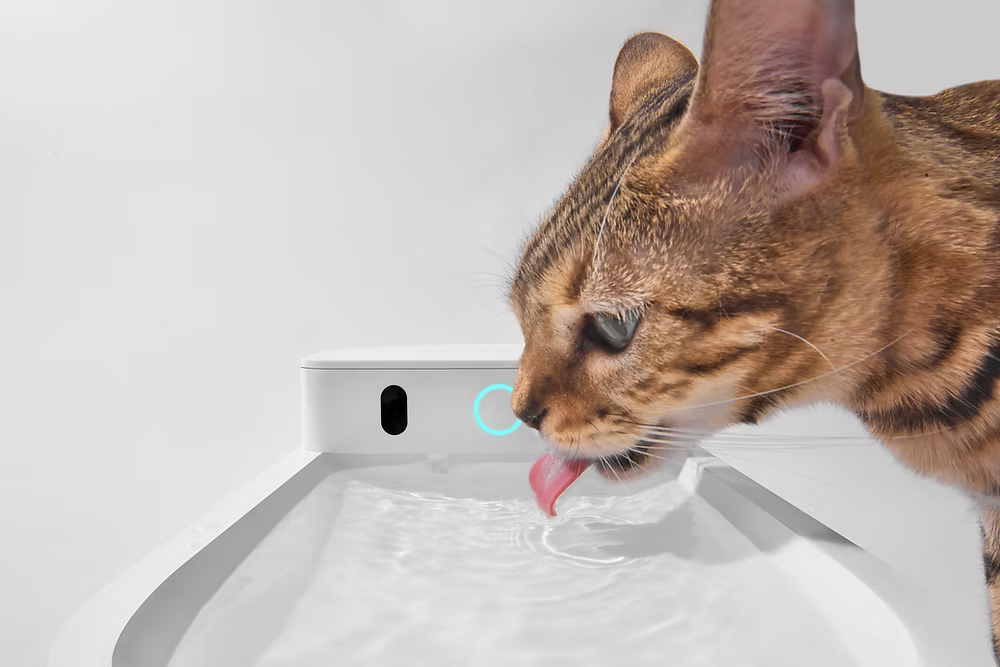 Catlink-Pure 3 Wireless Water Fountain[Catlink-Pure 3无线饮水机]