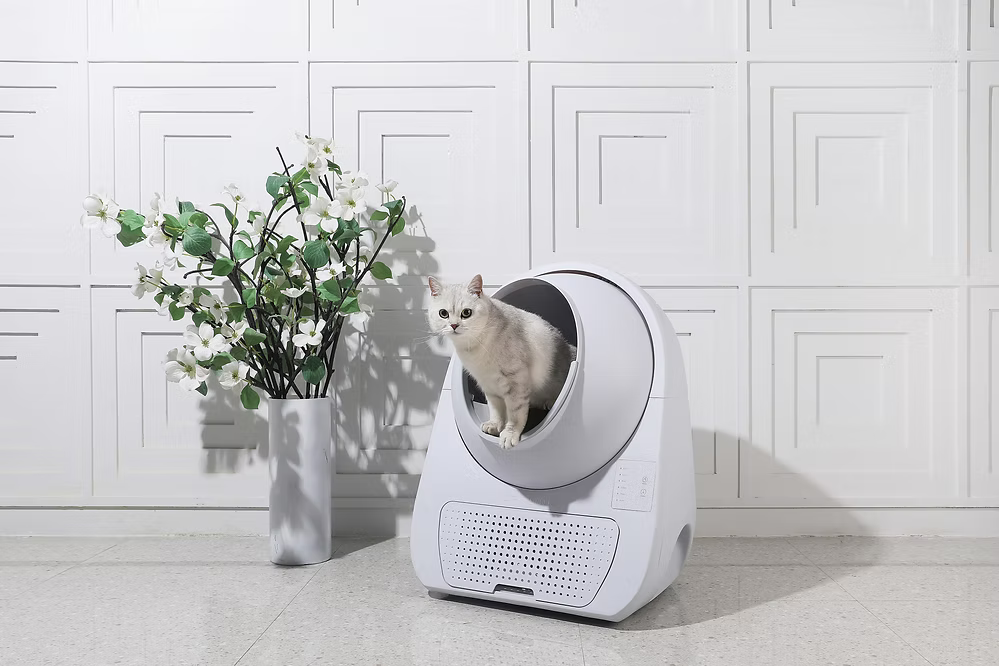 Catlink-AI Automatic Litter Box:YoungNoWIFI[Catlink-AI语音智能猫砂盆封闭式:Young无WIFI]