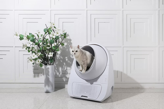 Catlink-AI Automatic Litter Box:YoungNoWIFI[Catlink-AI语音智能猫砂盆封闭式:Young无WIFI]